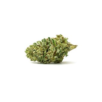 Golden Gas